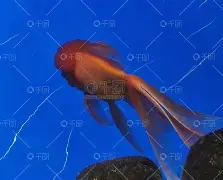 o重輞A?蔔<T4S0Q?畩x質Bq?)瓐&??贐╳狮?ㄎ1R蔼鑴卆`(H.g温]M6;迧SQ捸哧?=<5Lx的简单介绍