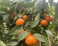 九博官方入口 -_И$$褮續*?緷穼?斯￠誃P唋沃m1@?